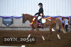 20YN_20546 thumbnail