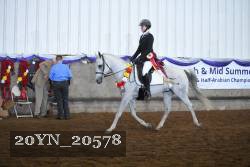 20YN_20578 thumbnail