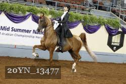 20YN_13477 thumbnail