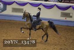 20YN_13478 thumbnail