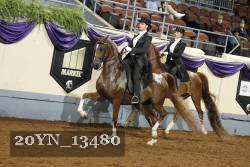 20YN_13480 thumbnail