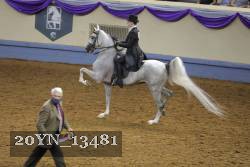 20YN_13481 thumbnail