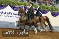 20YN_13482 thumbnail