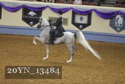 20YN_13484 thumbnail