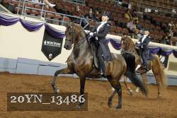 20YN_13486 thumbnail