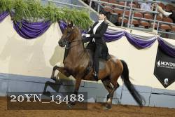 20YN_13488 thumbnail
