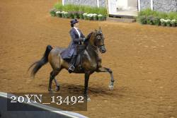 20YN_13492 thumbnail
