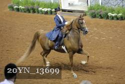 20YN_13699 thumbnail