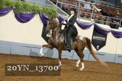 20YN_13700 thumbnail