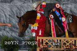 20YN_27052 thumbnail