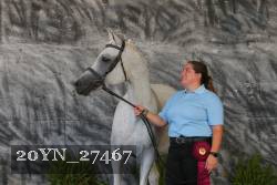 20YN_27467 thumbnail