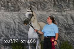 20YN_27468 thumbnail