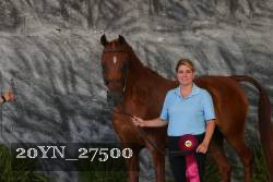 20YN_27500 thumbnail