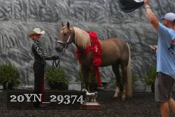 20YN_29374 thumbnail