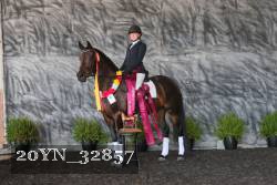 20YN_32857 thumbnail