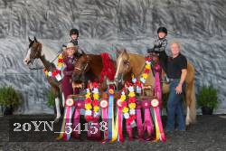 20YN_54158 thumbnail