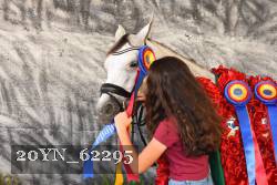 20YN_62295 thumbnail