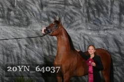 20YN_64037 thumbnail