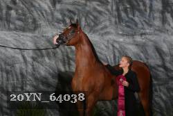 20YN_64038 thumbnail