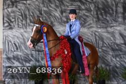 20YN_68836 thumbnail