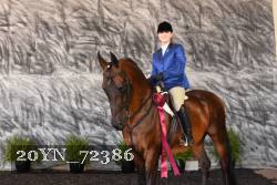 20YN_72386 thumbnail