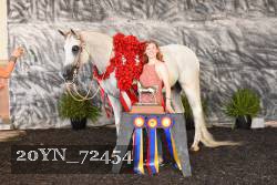 20YN_72454 thumbnail