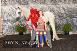 20YN_72456 thumbnail