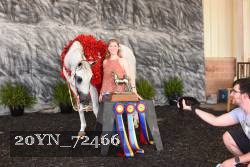 20YN_72466 thumbnail