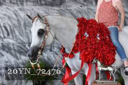 20YN_72476 thumbnail