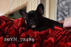 20YN_72489 thumbnail