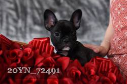 20YN_72491 thumbnail