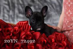20YN_72492 thumbnail
