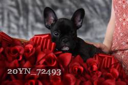 20YN_72493 thumbnail