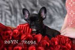 20YN_72494 thumbnail