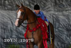 20YN_12978 thumbnail