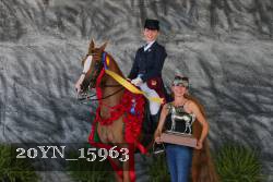 20YN_15963 thumbnail