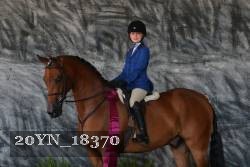20YN_18370 thumbnail
