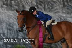 20YN_18377 thumbnail