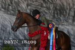 20YN_18409 thumbnail