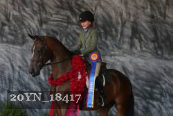 20YN_18417 thumbnail