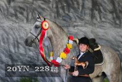20YN_22814 thumbnail