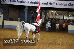 20YN_70641 thumbnail