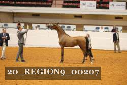 20_REGION9_00207 thumbnail