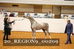 20_REGION9_00209 thumbnail
