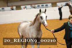 20_REGION9_00210 thumbnail