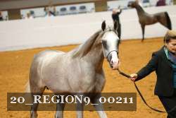 20_REGION9_00211 thumbnail