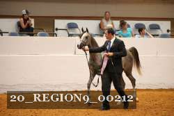 20_REGION9_00212 thumbnail