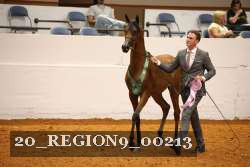 20_REGION9_00213 thumbnail