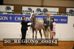 20_REGION9_00214 thumbnail