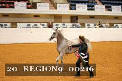 20_REGION9_00216 thumbnail